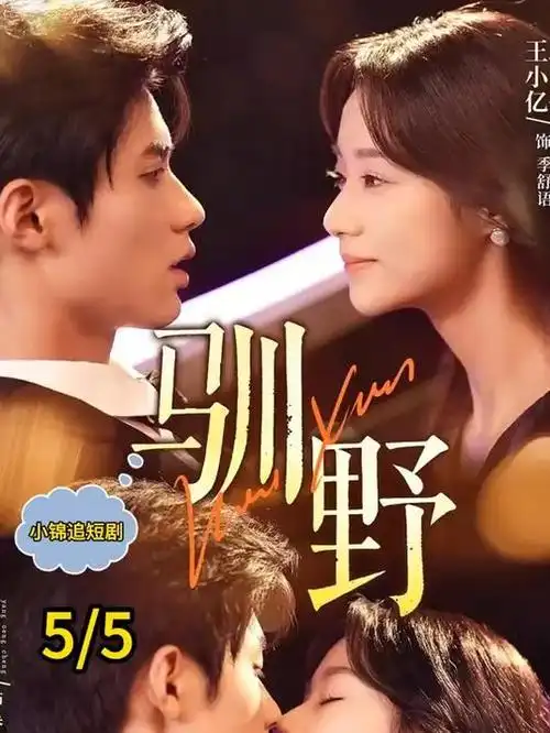 总裁的替身新娘短剧全集免费观看